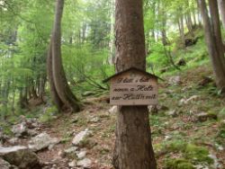 Regina-F-Rau_2013-08-15_Frohkostgipfel  (019).JPG